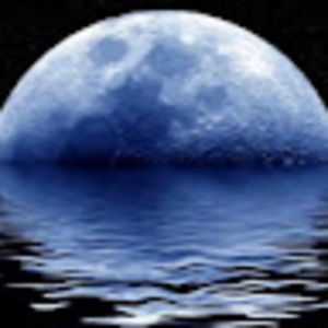 Meet your Posher, D.